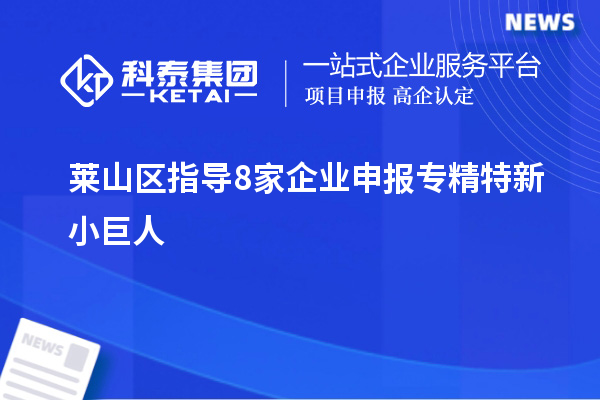 萊山區(qū)指導(dǎo)8家企業(yè)申報(bào)專精特新小巨人