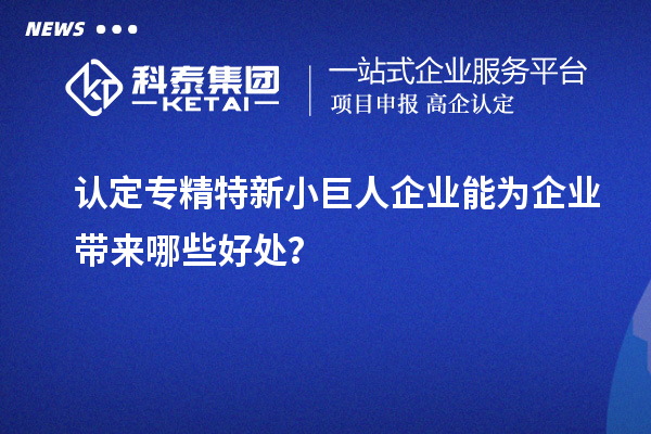 認(rèn)定專精特新小巨人企業(yè)能為企業(yè)帶來哪些好處？