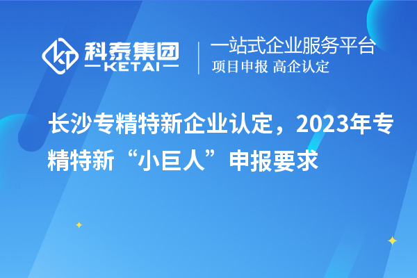 長沙專精特新企業(yè)認(rèn)定，2023年專精特新“小巨人”申報要求