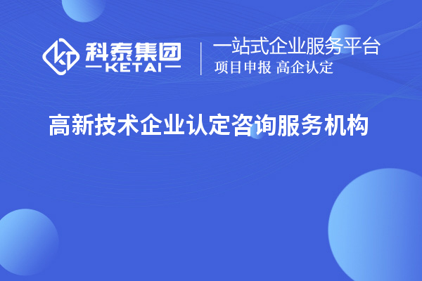 高新技術(shù)企業(yè)認定咨詢服務機構(gòu)