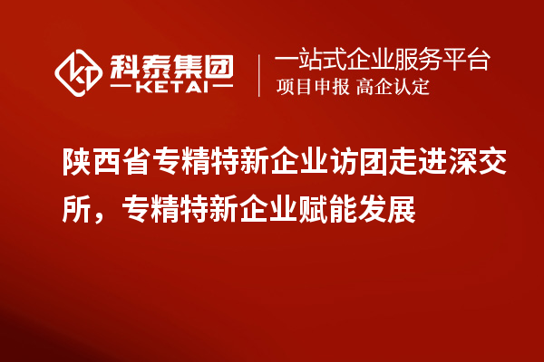 陜西省專精特新企業(yè)訪團走進深交所，專精特新企業(yè)賦能發(fā)展