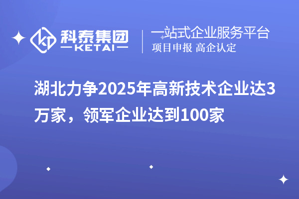 湖北力爭(zhēng)2025年高新技術(shù)企業(yè)達(dá)3萬家，領(lǐng)軍企業(yè)達(dá)到100家