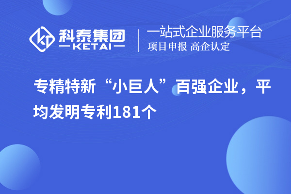 專精特新“小巨人”百強(qiáng)企業(yè)，平均發(fā)明專利181個(gè)