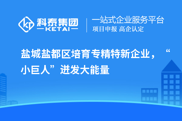 鹽城鹽都區(qū)培育專精特新企業(yè)，“小巨人”迸發(fā)大能量