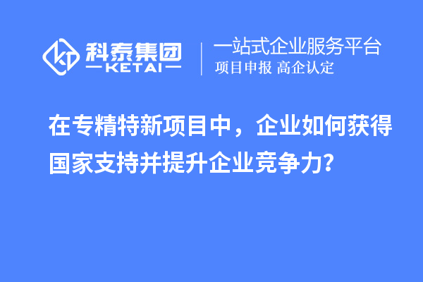 在專精特新項目中，企業(yè)如何獲得國家支持并提升企業(yè)競爭力？