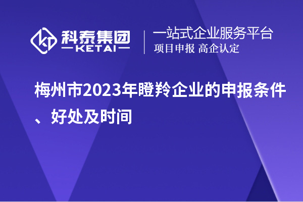 梅州市2023年瞪羚企業(yè)的申報(bào)條件、好處及時(shí)間