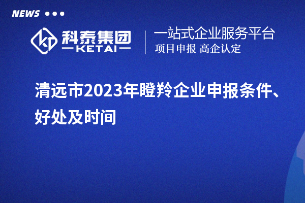 清遠(yuǎn)市2023年瞪羚企業(yè)申報(bào)條件、好處及時(shí)間