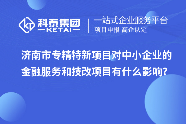 濟(jì)南市專精特新項(xiàng)目對(duì)中小企業(yè)的金融服務(wù)和<a href=http://www.xljuanlianmen.com/fuwu/jishugaizao.html target=_blank class=infotextkey>技改</a>項(xiàng)目有什么影響？