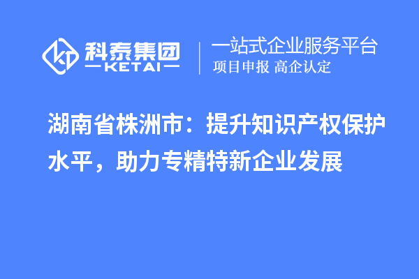 湖南省株洲市：提升知識(shí)產(chǎn)權(quán)保護(hù)水平，助力專精特新企業(yè)發(fā)展