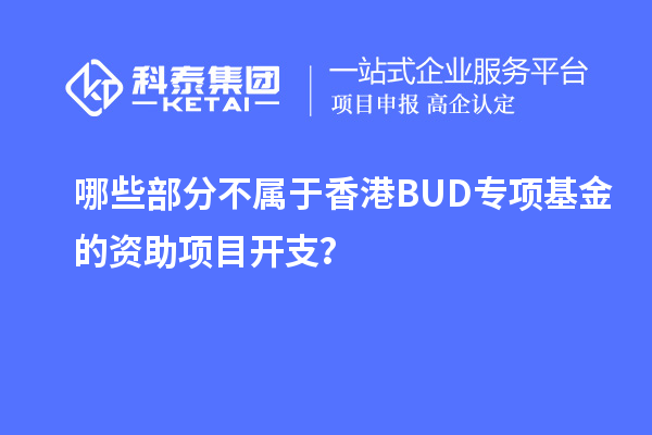 哪些部分不屬于香港BUD專項基金的資助項目開支？