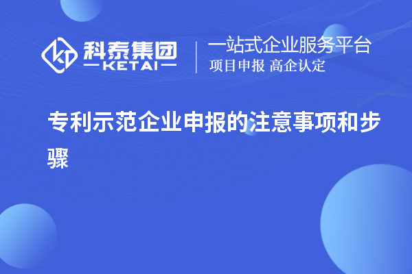 專(zhuān)利示范企業(yè)申報(bào)的注意事項(xiàng)和步驟