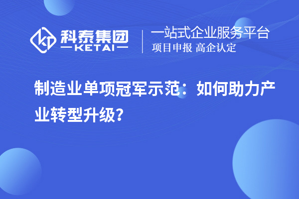 制造業(yè)單項冠軍示范：如何助力產(chǎn)業(yè)轉(zhuǎn)型升級？