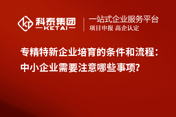 專精特新企業(yè)培育的條件和流程：中小企業(yè)需要注意哪些事項(xiàng)？