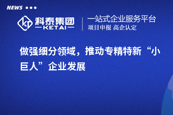 做強細分領域，推動專精特新“小巨人”企業(yè)發(fā)展