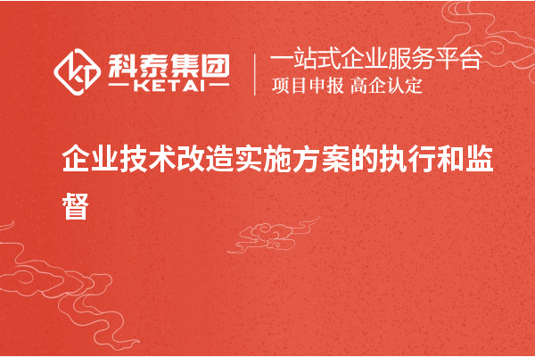 企業(yè)技術改造實施方案的執(zhí)行和監(jiān)督