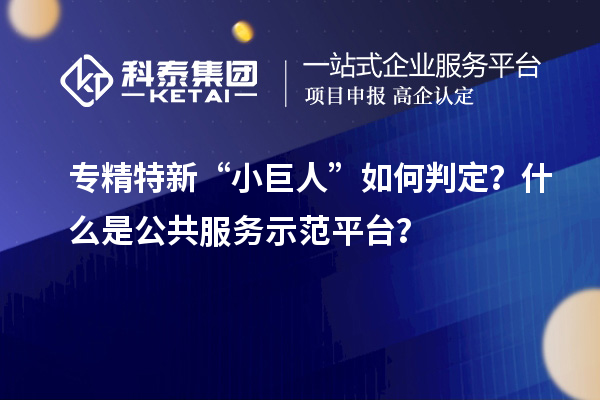 專(zhuān)精特新“小巨人”如何判定？什么是公共服務(wù)示范平臺(tái)？