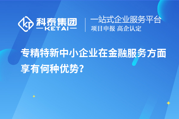 專精特新中小企業(yè)在金融服務方面享有何種優(yōu)勢？