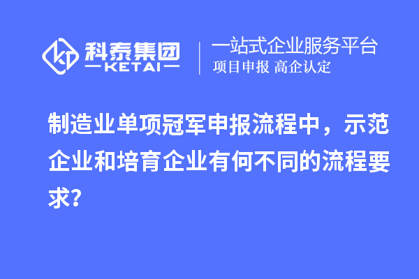 制造業(yè)單項冠軍申報流程中，示范企業(yè)和培育企業(yè)有何不同的流程要求？