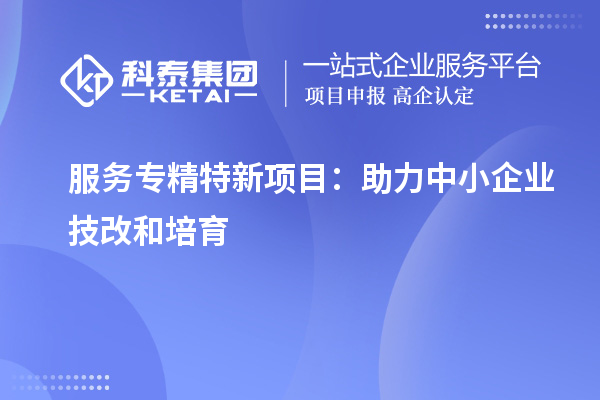服務(wù)專精特新項(xiàng)目：助力中小企業(yè)<a href=http://www.xljuanlianmen.com/fuwu/jishugaizao.html target=_blank class=infotextkey>技改</a>和培育