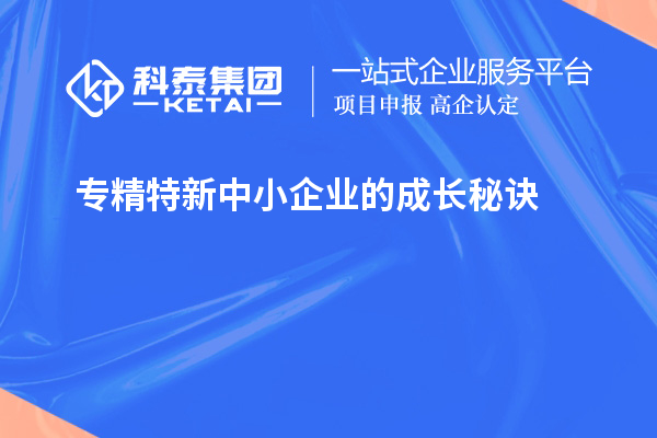 專精特新中小企業(yè)的成長秘訣