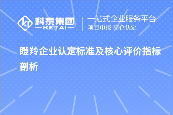 <a href=http://www.xljuanlianmen.com/fuwu/dengling.html target=_blank class=infotextkey>瞪羚企業(yè)認(rèn)定</a>標(biāo)準(zhǔn)及核心評價(jià)指標(biāo)剖析		 		