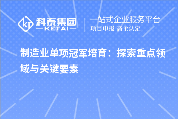 制造業(yè)單項冠軍培育：探索重點領(lǐng)域與關(guān)鍵要素