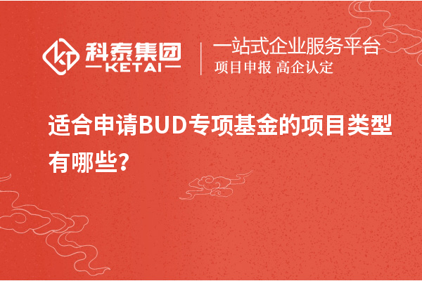適合申請BUD專項基金的項目類型有哪些？