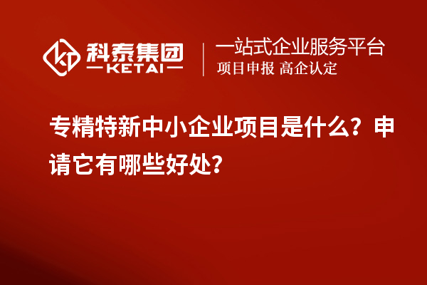 專精特新中小企業(yè)項(xiàng)目是什么？申請(qǐng)它有哪些好處？