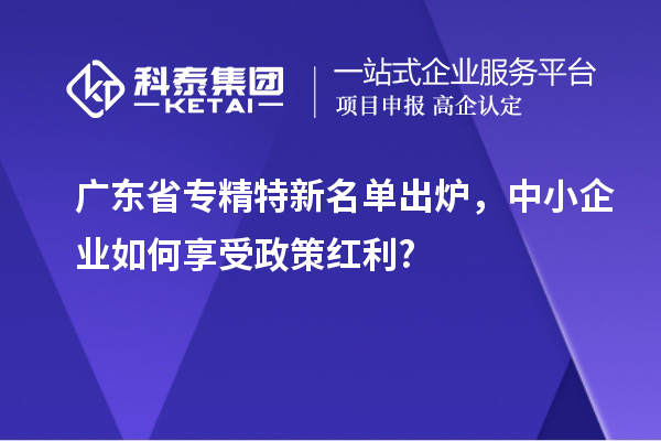廣東省專精特新名單出爐，中小企業(yè)如何享受政策紅利?