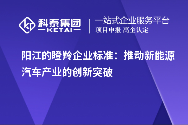 陽江的瞪羚企業(yè)標(biāo)準(zhǔn)：推動(dòng)新能源汽車產(chǎn)業(yè)的創(chuàng)新突破
