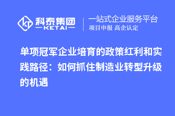 單項冠軍企業(yè)培育的政策紅利和實(shí)踐路徑：如何抓住制造業(yè)轉(zhuǎn)型升級的機(jī)遇