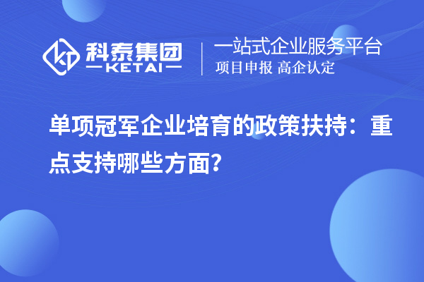 單項冠軍企業(yè)培育的政策扶持：重點支持哪些方面？