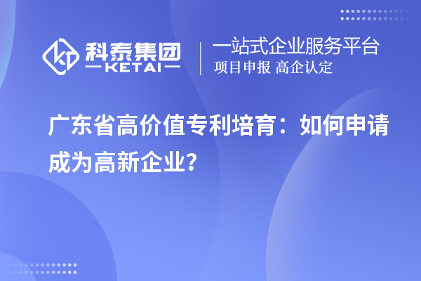 廣東省高價值專利培育：如何申請成為高新企業(yè)？