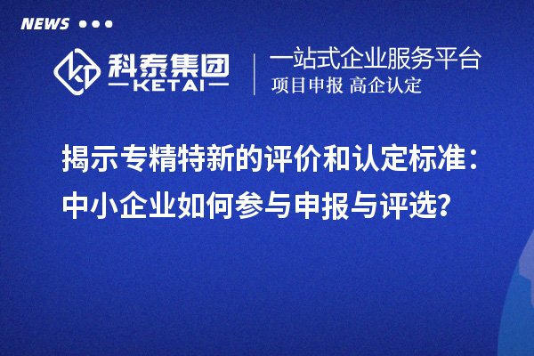 揭示專精特新的評價和認定標準：中小企業(yè)如何參與申報與評選？