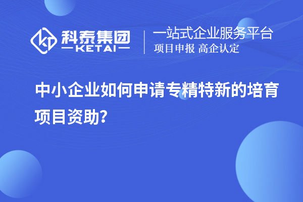 中小企業(yè)如何申請專精特新的培育項(xiàng)目資助？
