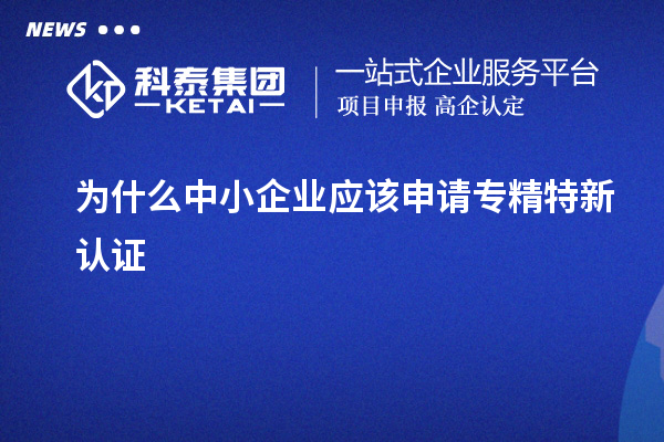 為什么中小企業(yè)應該申請專精特新認證
