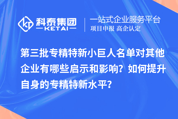 第三批專精特新小巨人名單對其他企業(yè)有哪些啟示和影響？如何提升自身的專精特新水平？