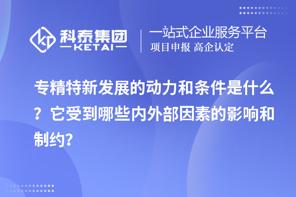專精特新發(fā)展的動(dòng)力和條件是什么？它受到哪些內(nèi)外部因素的影響和制約？