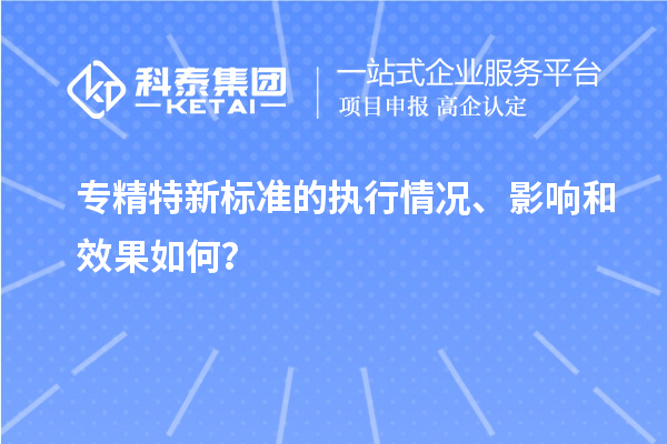 專精特新標(biāo)準(zhǔn)的執(zhí)行情況、影響和效果如何？