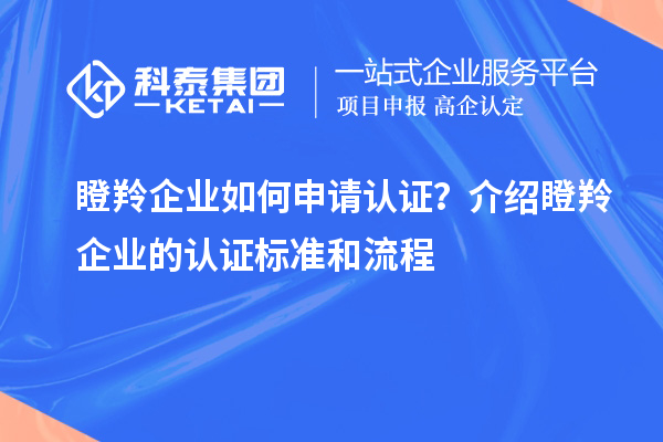 瞪羚企業(yè)如何申請認(rèn)證？介紹瞪羚企業(yè)的認(rèn)證標(biāo)準(zhǔn)和流程