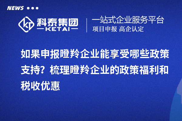 如果申報(bào)瞪羚企業(yè)能享受哪些政策支持？梳理瞪羚企業(yè)的政策福利和稅收優(yōu)惠