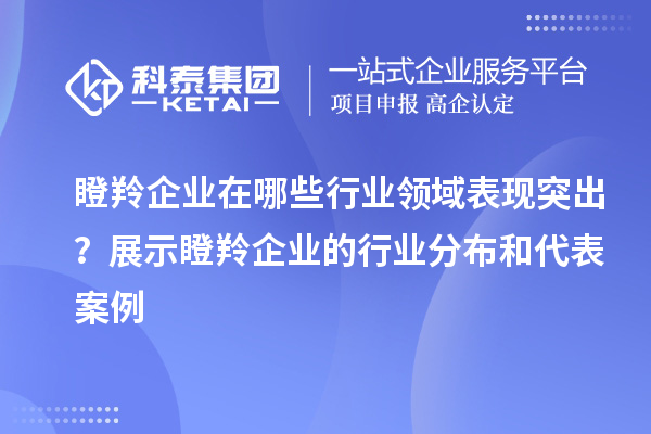 瞪羚企業(yè)在哪些行業(yè)領(lǐng)域表現(xiàn)突出？展示瞪羚企業(yè)的行業(yè)分布和代表案例