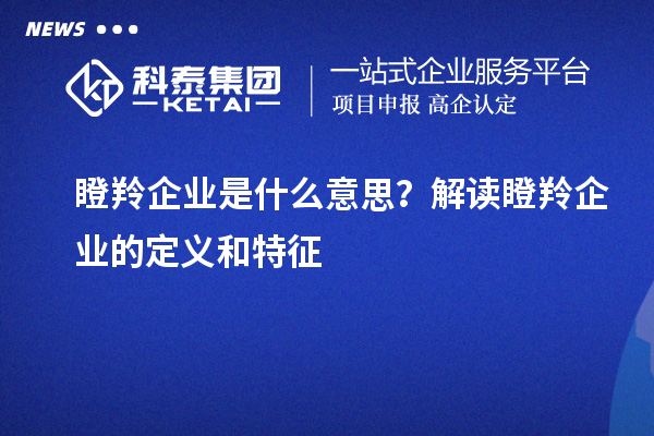 瞪羚企業(yè)是什么意思？解讀瞪羚企業(yè)的定義和特征