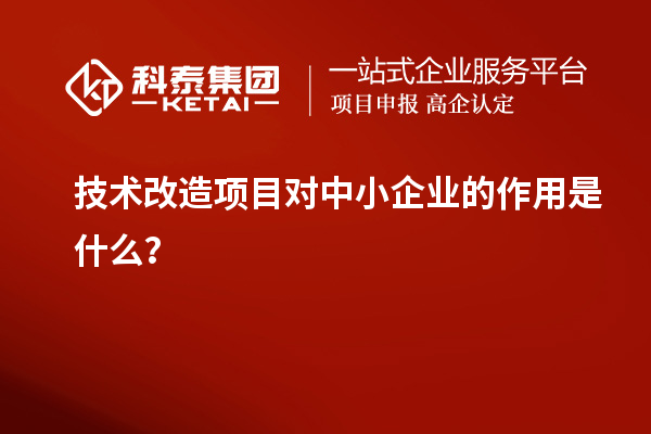 技術(shù)改造項目對中小企業(yè)的作用是什么？