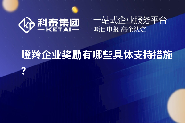 瞪羚企業(yè)獎勵有哪些具體支持措施？