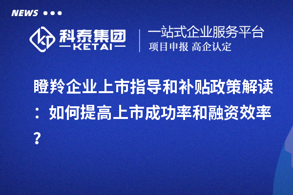 瞪羚企業(yè)上市指導和補貼政策解讀：如何提高上市成功率和融資效率？