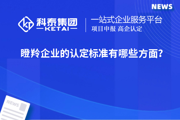瞪羚企業(yè)的認定標準有哪些方面？