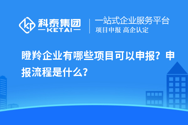 瞪羚企業(yè)有哪些項(xiàng)目可以申報(bào)？申報(bào)流程是什么？