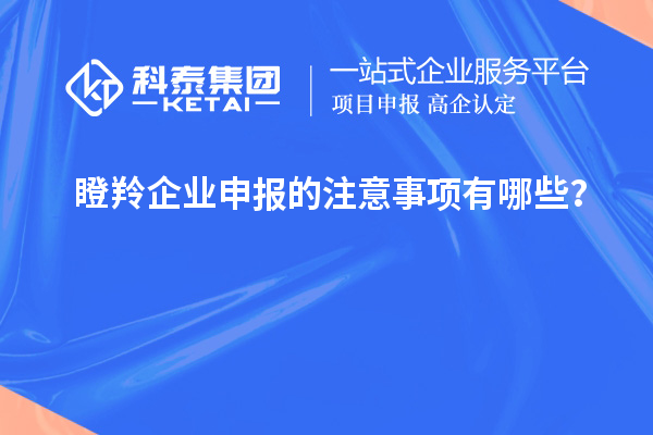 瞪羚企業(yè)申報(bào)的注意事項(xiàng)有哪些？