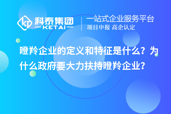 瞪羚企業(yè)的定義和特征是什么？為什么政府要大力扶持瞪羚企業(yè)？